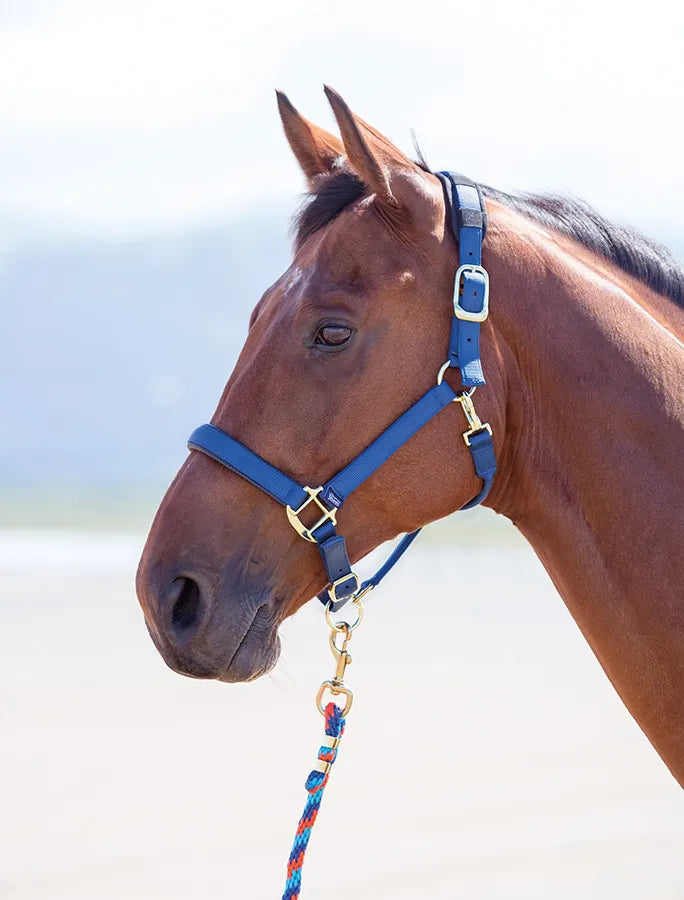 Shires Topaz Nylon Headcollar