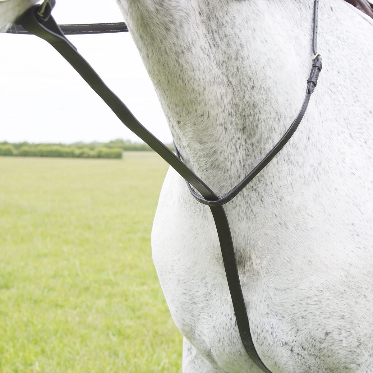 Velociti GARA Standing Martingale