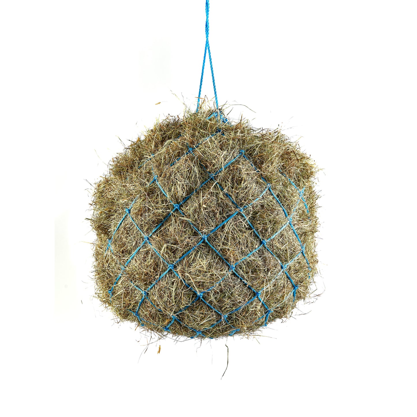 Shires Haynet