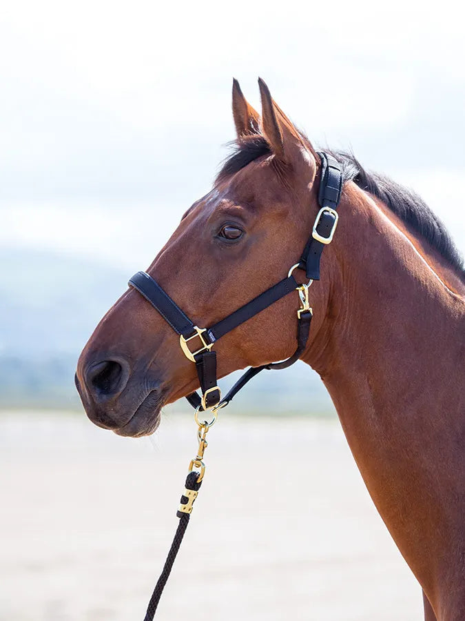 Shires Topaz Nylon Headcollar