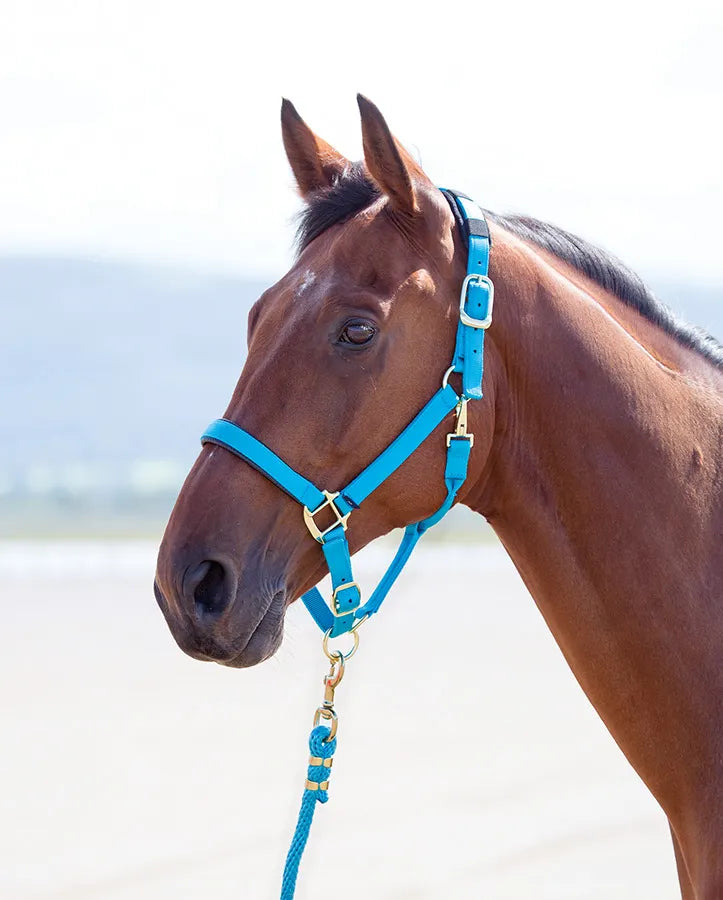 Shires Topaz Nylon Headcollar