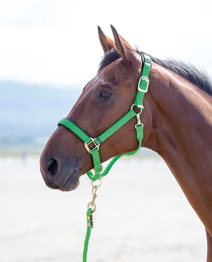 Shires Topaz Nylon Headcollar