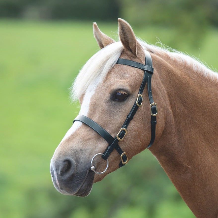 Velociti GARA Plain Inhand Bridle