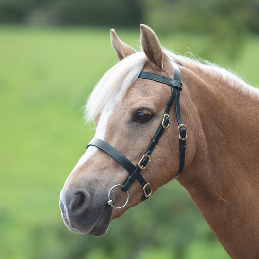 Velociti GARA Plain Inhand Bridle