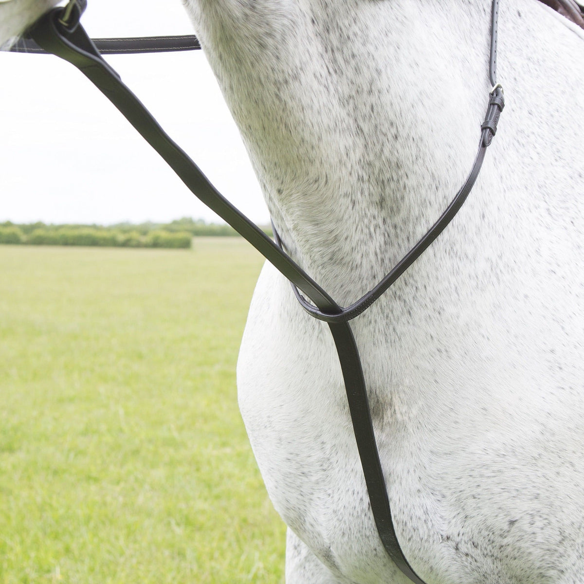 Velociti GARA Standing Martingale