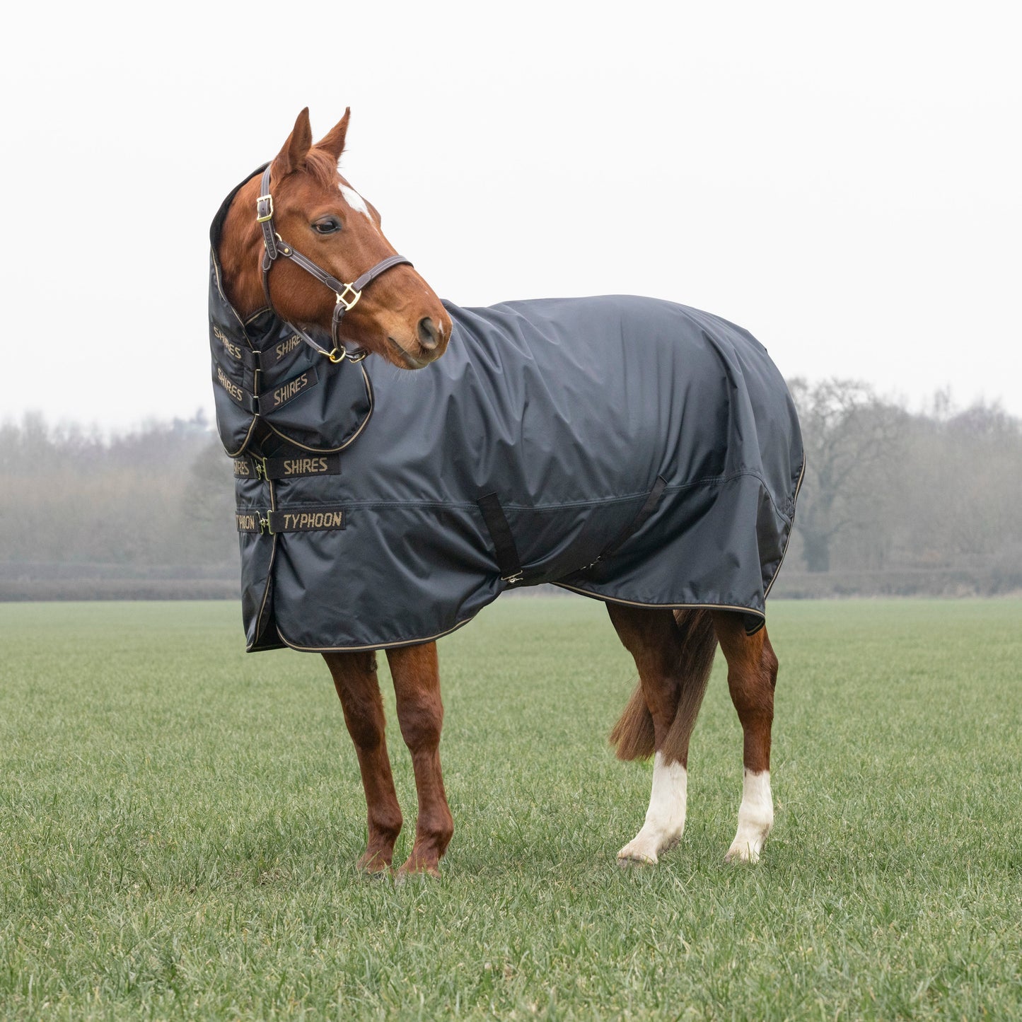 Shires Typhoon 50 Combo Turnout Rug