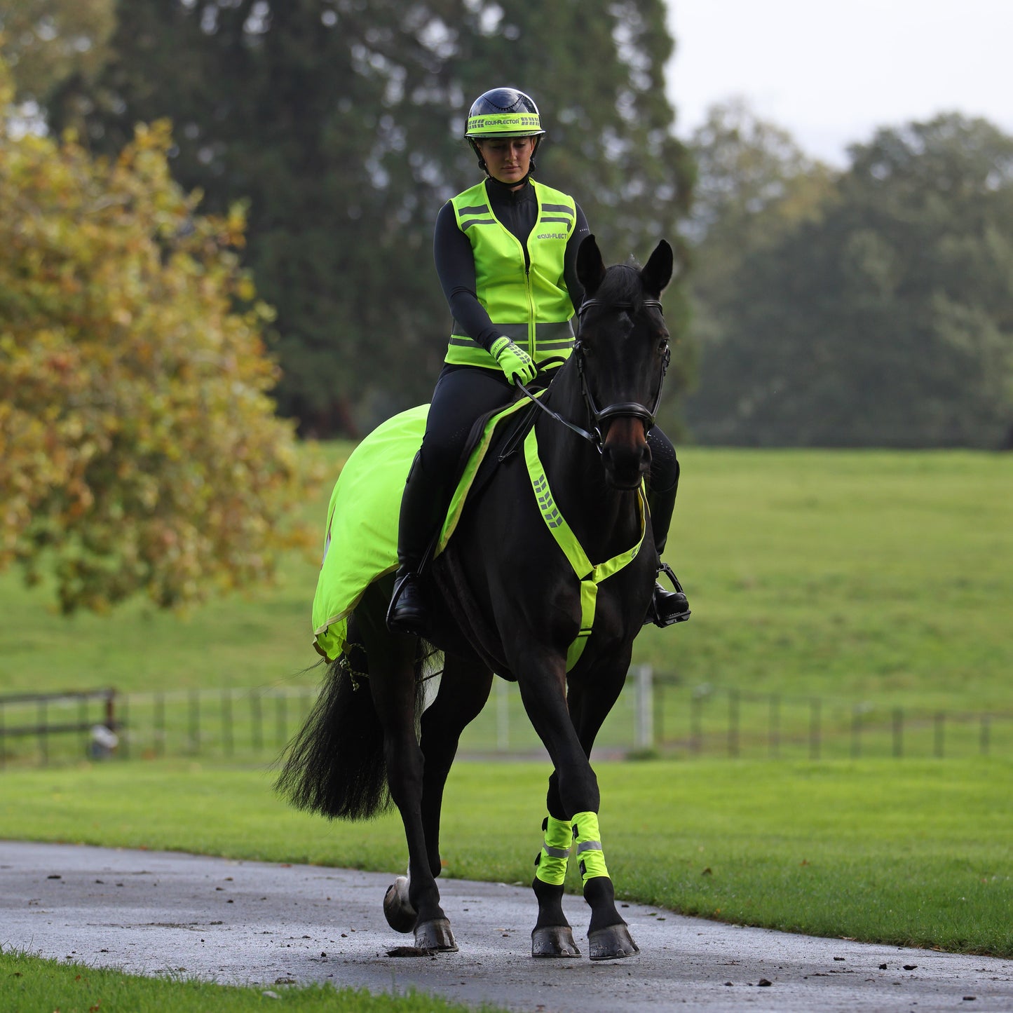 EQUI-FLECTOR® Hat Band